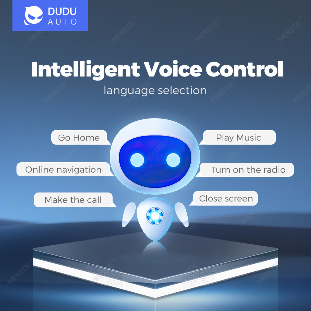 DUDU-Intelligent Voice control
